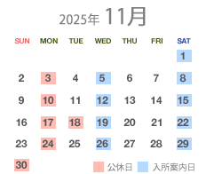 11月