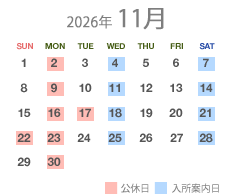 11月